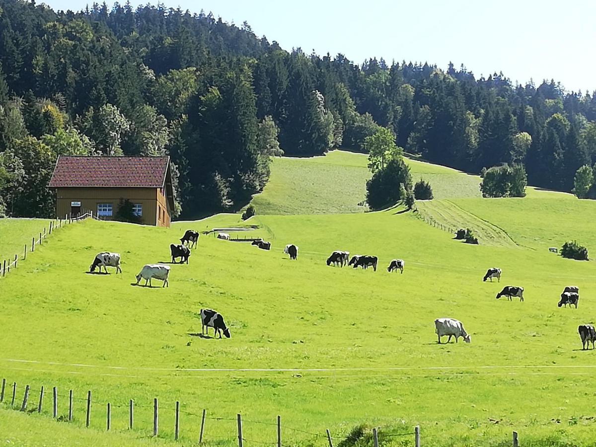 Gemuetliche Wohnung In Einfamilienhaus Alberschwende Exterior foto
